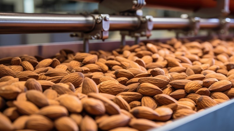 Frutta a guscio e prodotti secchi sfusi