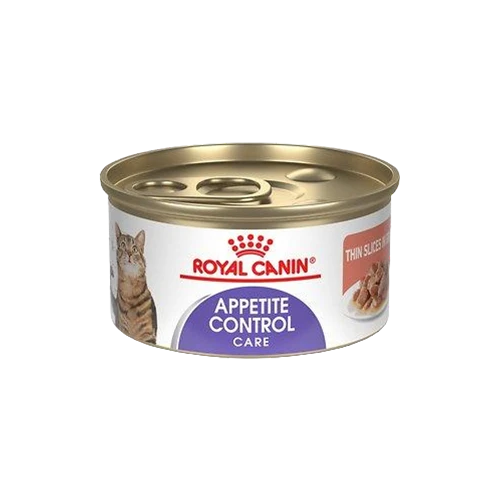 Cibo per cani in scatola